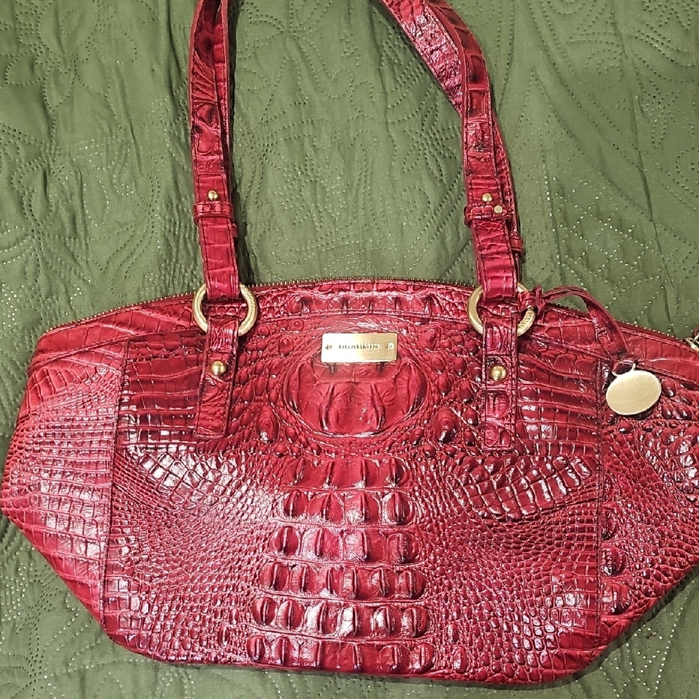 Beautiful Brahmin Purse